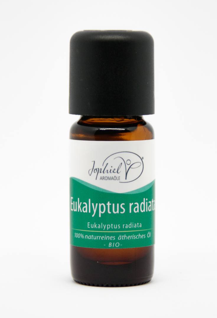 Eukalyptus radiata Öl Bio 10 ml